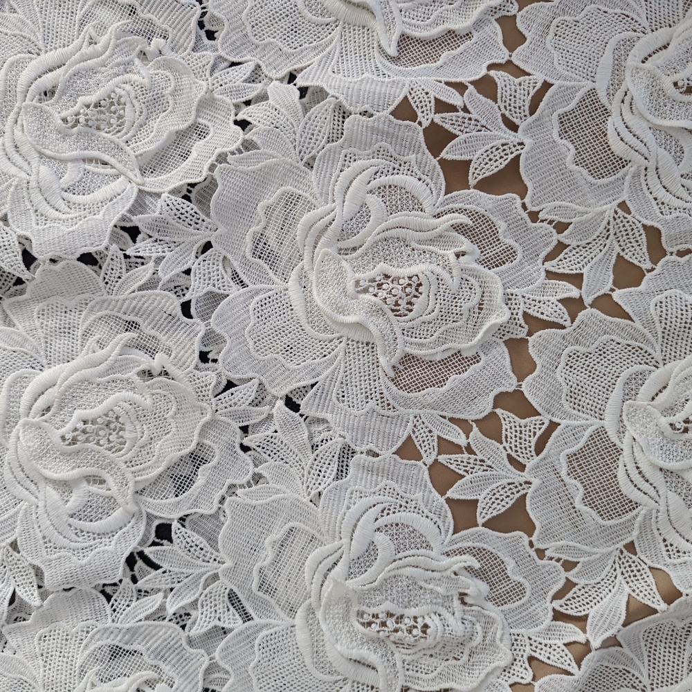 Catherine Deane BHLDN white Frida dress size 10 guipure lace - Picture 11 of 12
